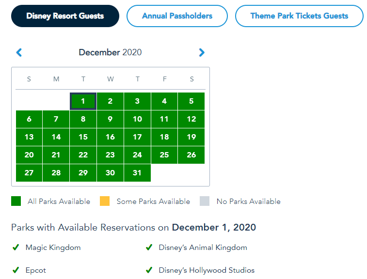 Disney Park Pass System